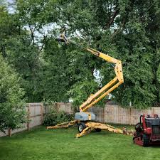 Landscape Design and Installation in Sun Prairie, WI
